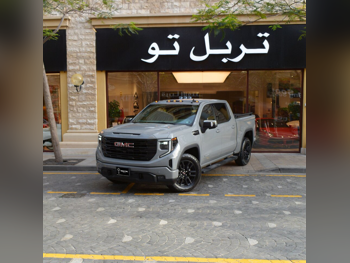 جي ام سي  سييرا  اليفيشن  2024  اوتوماتيك  10,670 كم  8 سلندر  دفع رباعي  بيكب  رمادي