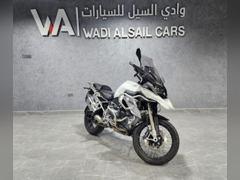 BMW  R1200 GS Adventure -  2014 - Color White