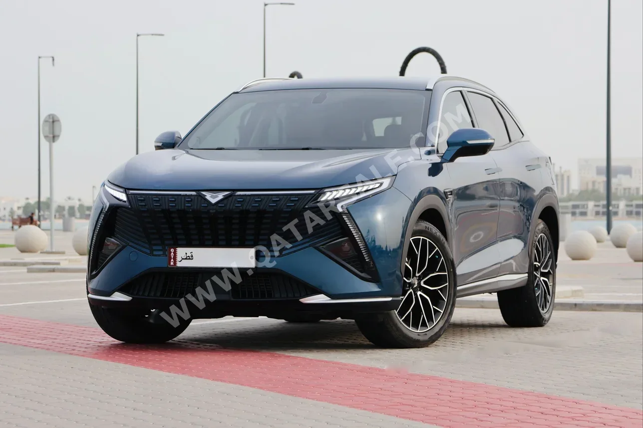 Zeekr  X  4 Cylinder  2x4  Dark Blue  2025