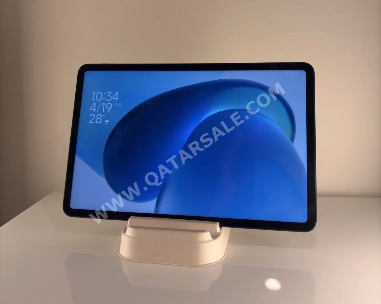 2023 -  256 GB - Connectivity Wi Fi Only