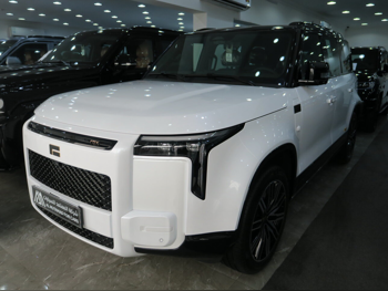 روكس موتور  جيشي  أداماس بلاك اديشن  2026  اوتوماتيك  0 كم  4 سلندر  دفع رباعي  اس يو في  أبيض  تحت الضمان