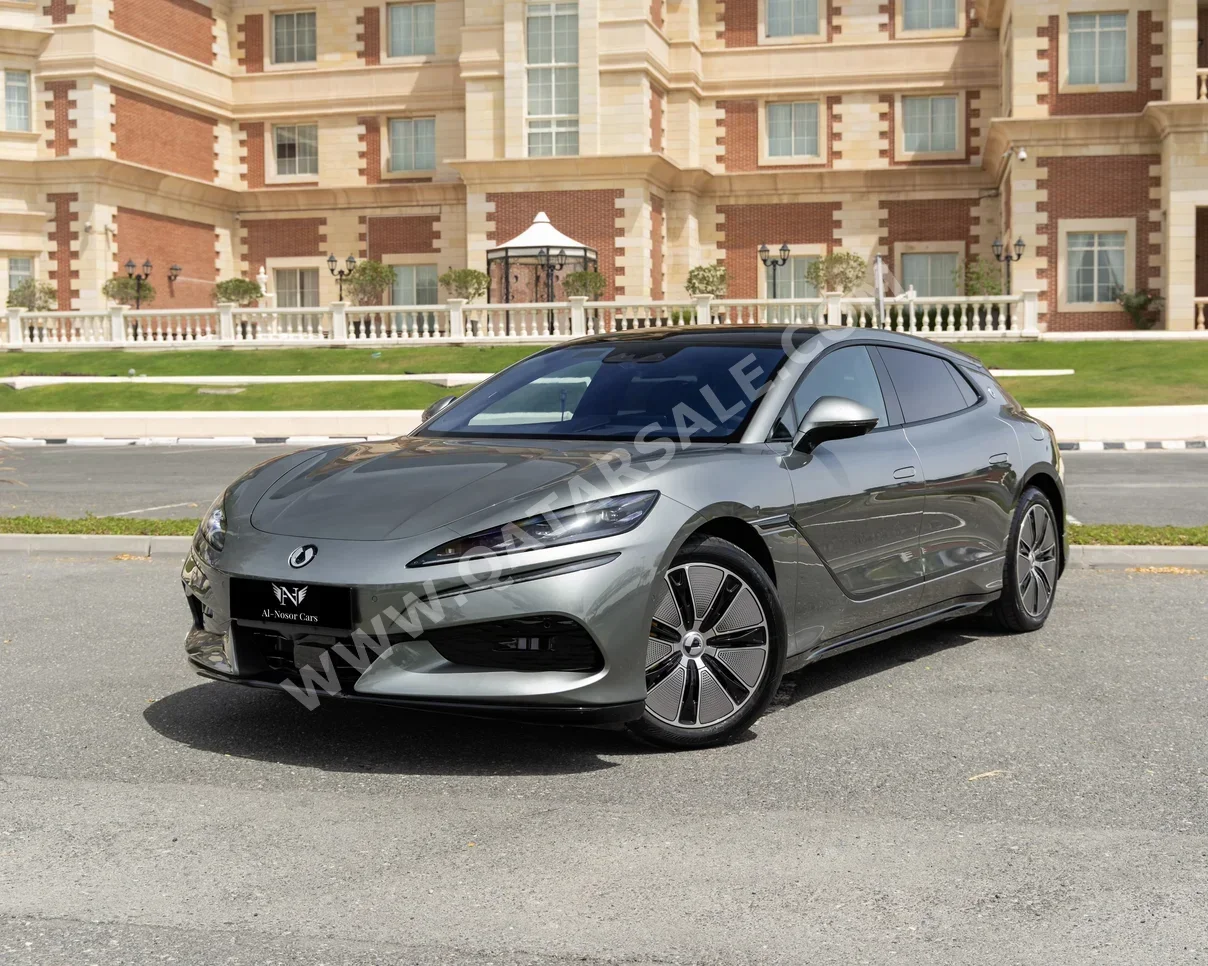 بي واي دي  دينزا  زد 9  2025  اوتوماتيك  2,300 كم  4 سلندر  دفع رباعي  اس يو في  رمادي  تحت الضمان