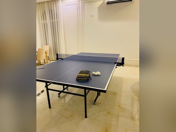 Black and Blue  Tennis (ping pong) Table