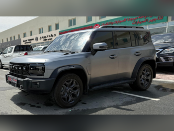 جيتور  تي 2  لكجري  2025  اوتوماتيك  11,000 كم  4 سلندر  دفع رباعي  اس يو في  رمادي