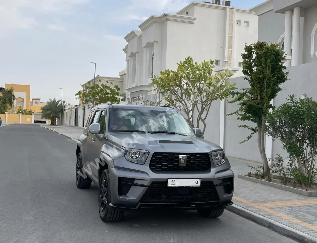 جي دبليو ام  تانك  700  2026  اوتوماتيك  0 كم  6 سلندر  دفع رباعي  اس يو في  رمادي  تحت الضمان