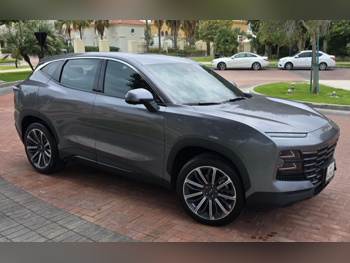 جيتور  داشينغ  فلاغ شيب  2024  اوتوماتيك  22,000 كم  4 سلندر  دفع رباعي  اس يو في  رمادي  تحت الضمان