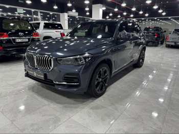 BMW  X-Series  X5 40i  2023  Automatic  98,000 Km  6 Cylinder  Four Wheel Drive (4WD)  SUV  Gray  With Warranty