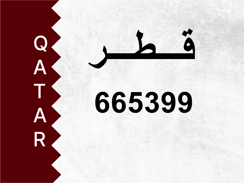 Private Plate  665399  Special Number