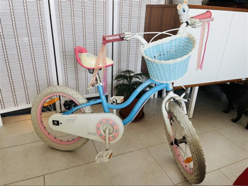 دراجة اطفال  - صغير (15-17 بوصة)  - أزرق