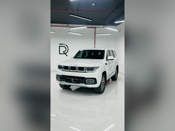 بايك  بي جي 60  2025  اوتوماتيك  32,000 كم  4 سلندر  دفع رباعي  اس يو في  أبيض  تحت الضمان