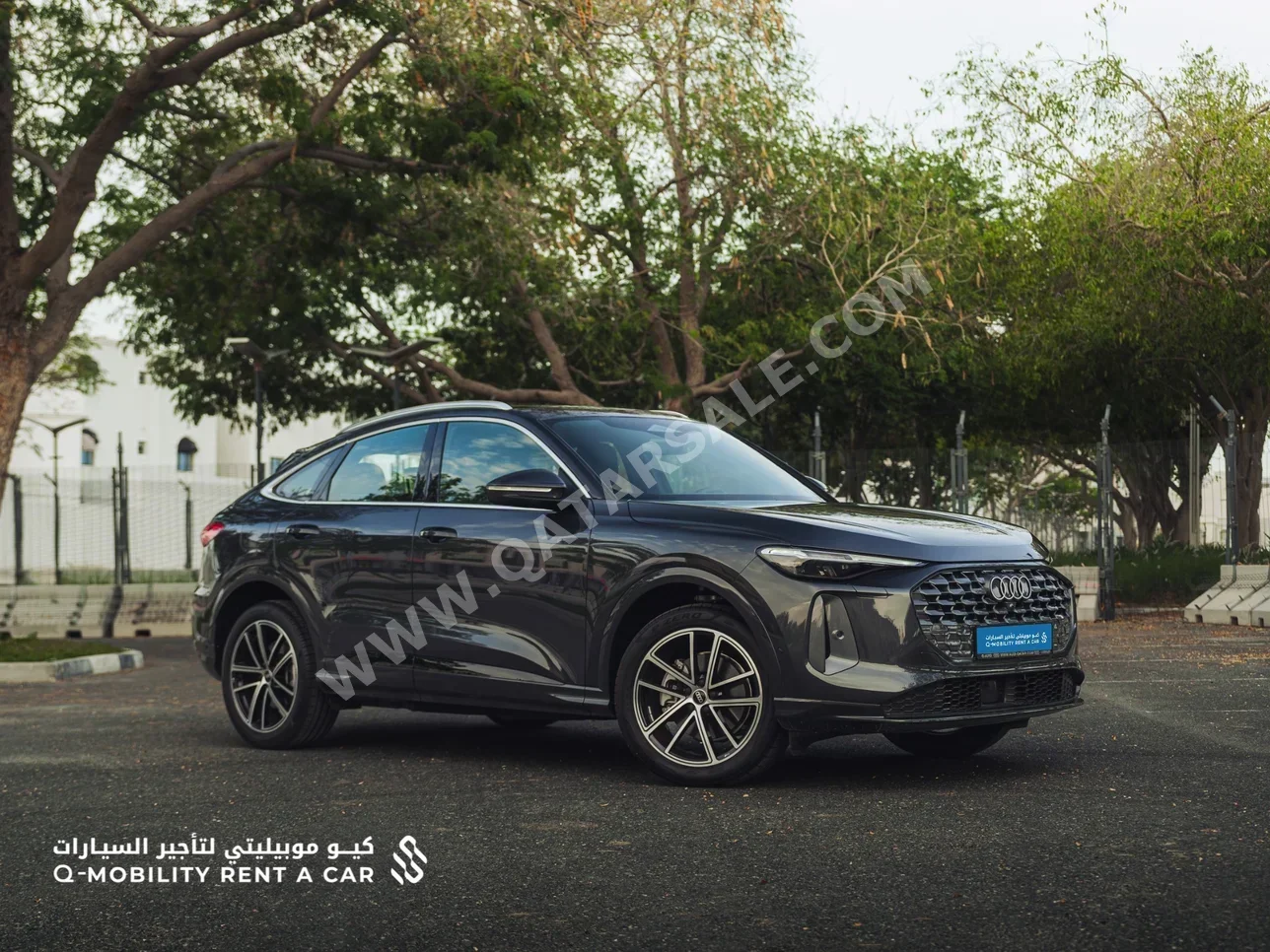 Audi  Q5  4 Cylinder  Sport / Coupe  Grey  2025