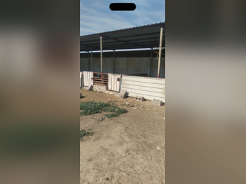 مزارع و منتجعات غير مفروشة  الخور  1 غرف نوم
