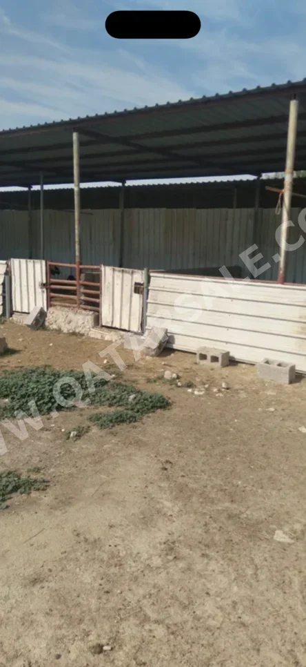 Farms & Resorts Not Furnished  Al Khor  1 Bedrooms