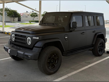 BAW 212 T01 2026 Automatic 600 Km 4 Cylinder Four Wheel Drive (4WD) SUV Black With Warranty