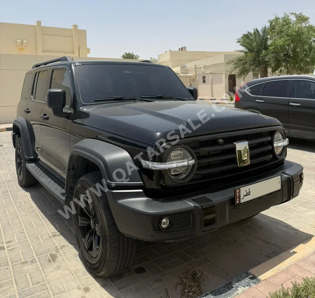 جي دبليو ام  تانك  300  2025  اوتوماتيك  24,200 كم  4 سلندر  دفع رباعي  اس يو في  أسود  تحت الضمان