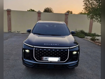ساويست  اس 09  2026  اوتوماتيك  18,000 كم  4 سلندر  دفع رباعي  اس يو في  أخضر غامق  تحت الضمان