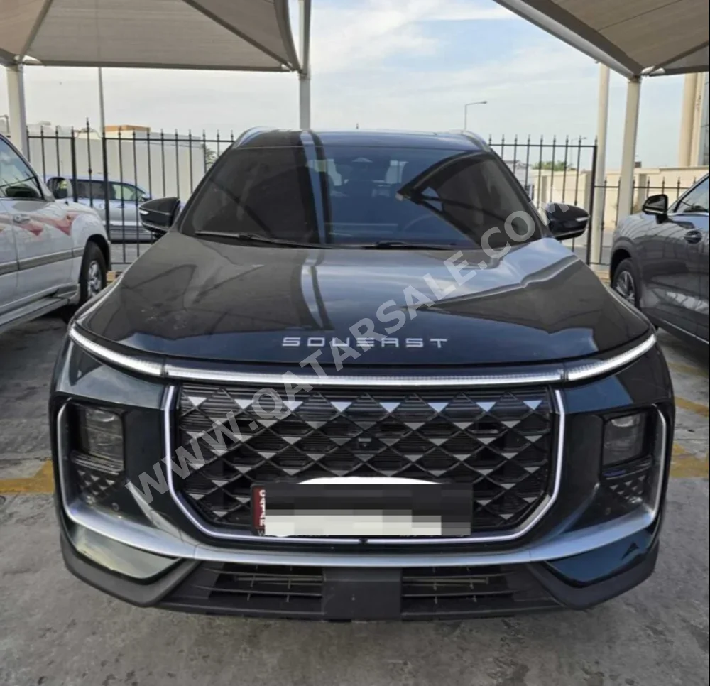 ساويست  اس 09  2026  اوتوماتيك  16,000 كم  4 سلندر  دفع رباعي  اس يو في  أخضر غامق  تحت الضمان