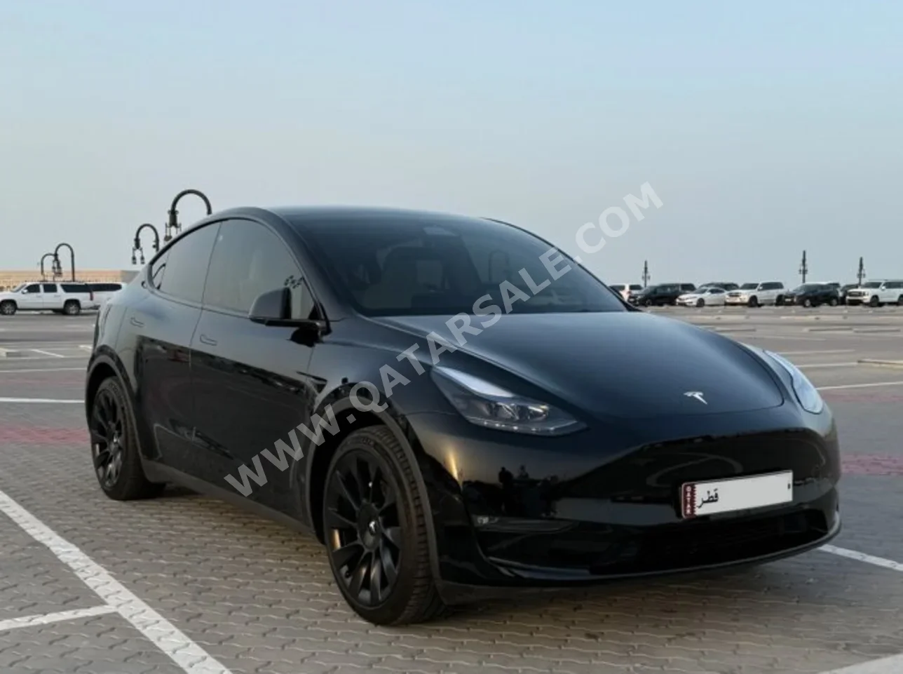 Tesla  Model Y  Long Range  2023  Automatic  69,000 Km  0 Cylinder  Four Wheel Drive (4WD)  Sedan  Black  With Warranty