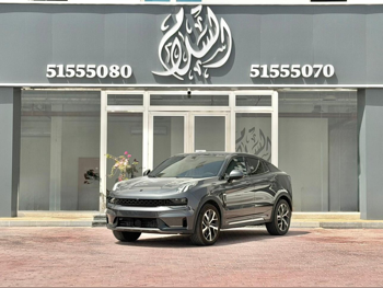 لينك اند كو او5 2025 اوتوماتيك 7,000 كم 4 سلندر دفع رباعي هاتشباك رمادي تحت الضمان