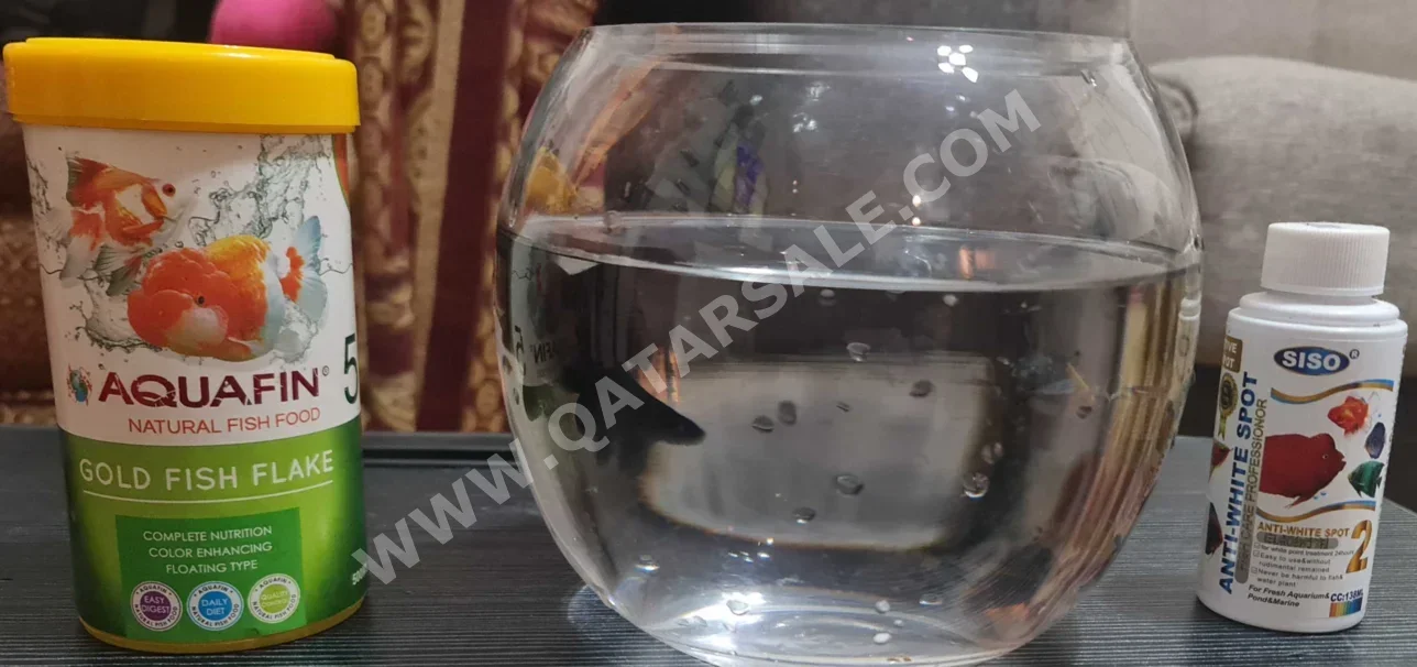 Aquariums
