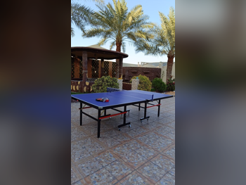 Blue  Tennis (ping pong) Table