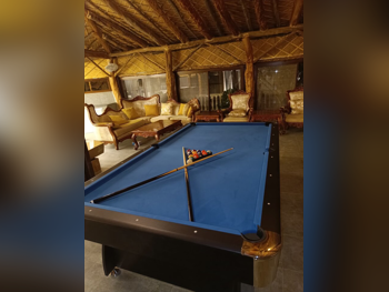 Blue  Billiard Table