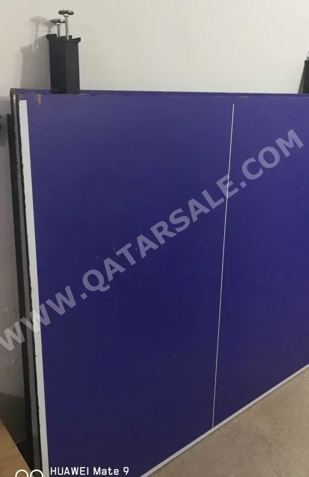 Blue Tennis (ping pong) Table