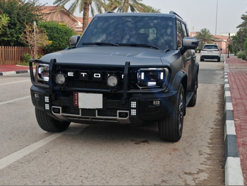 Jetour T2 Luxury Plus 2025 Automatic 17,200 Km 4 Cylinder Four Wheel Drive (4WD) SUV Gray Matte With Warranty