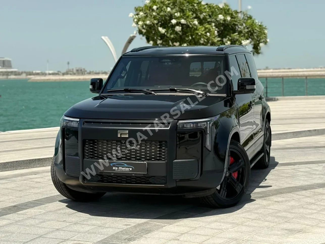 Rox Motor Jishi 01 2025 Automatic 61,000 Km 4 Cylinder Four Wheel Drive (4WD) SUV Black With Warranty