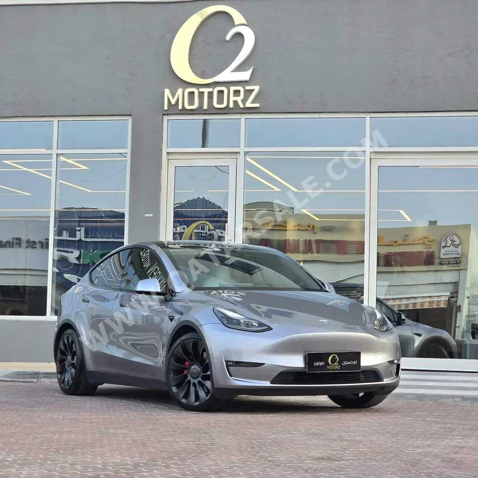 Tesla Model Y Performance 2024 Automatic 27,000 Km 0 Cylinder All Wheel Drive (AWD) Sedan Silver With Warranty