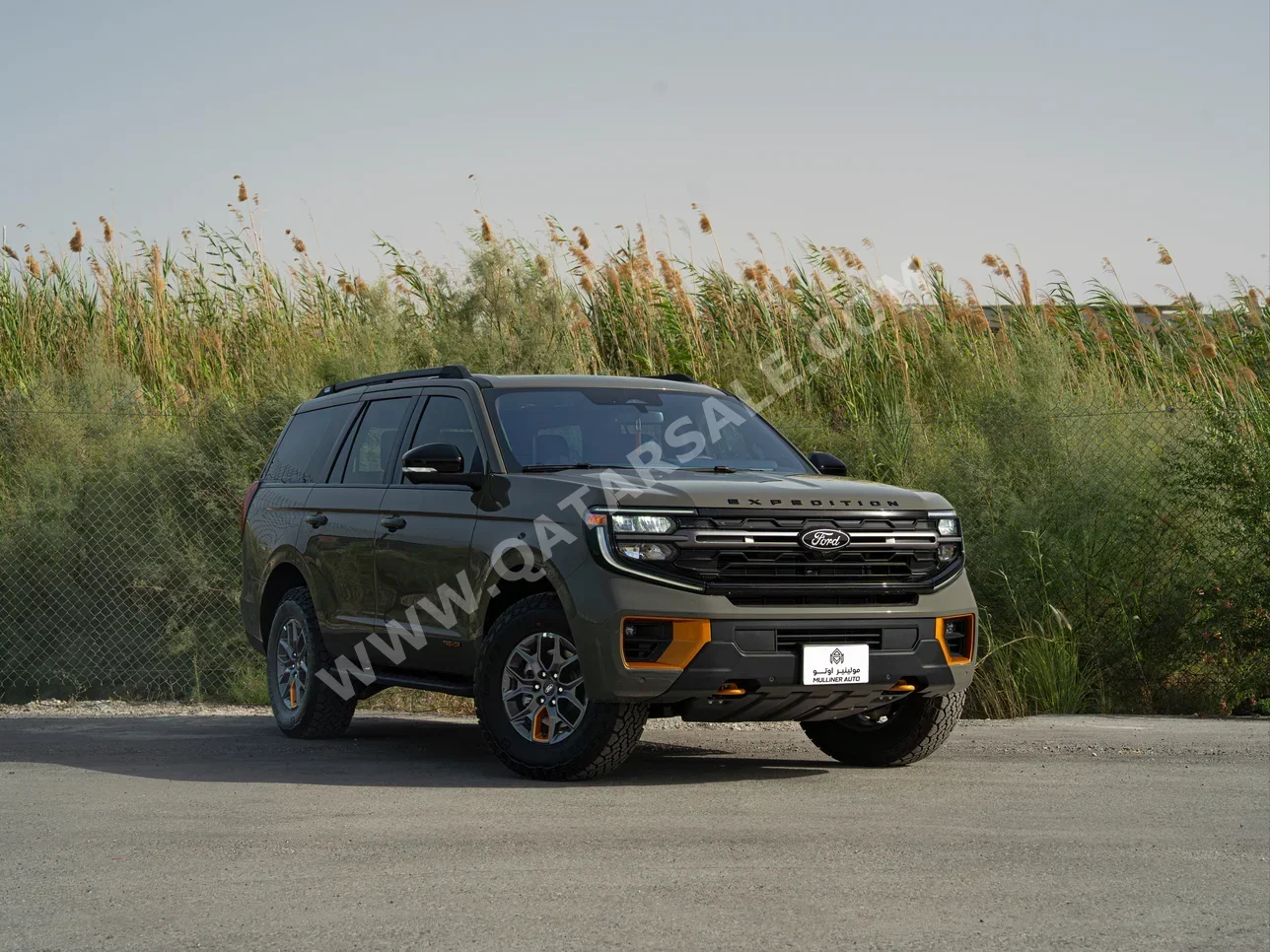 Ford  Expedition  2025  Automatic  1,100 Km  6 Cylinder  Four Wheel Drive (4WD)  SUV  Green  With Warranty