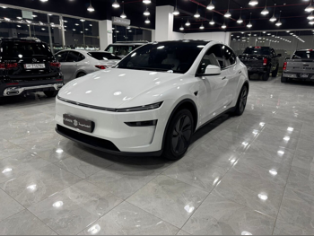 Tesla  Model Y  Long Range  2026  Automatic  6,000 Km  0 Cylinder  All Wheel Drive (AWD)  Sedan  White  With Warranty