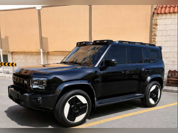 Jetour  T2  Luxury  2025  Automatic  30,000 Km  4 Cylinder  Front Wheel Drive (FWD)  SUV  Black  With Warranty