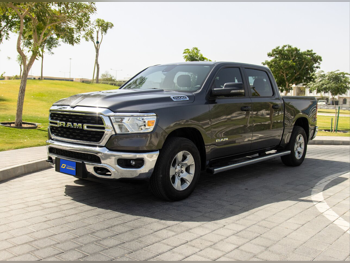 Dodge  Ram  8 Cylinder  Pickup  Grey  2024