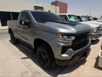 Chevrolet Silverado LT Trail Boss Z71 2023 Automatic 133,000 Km 8 Cylinder Four Wheel Drive (4WD) Pick Up Gray