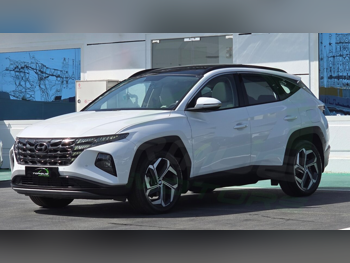 Hyundai  Tucson  2024  Automatic  0 Km  4 Cylinder  Front Wheel Drive (FWD)  SUV  Light Green