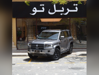 بي واي دي دينزا بي 5 2027 اوتوماتيك 0 كم 4 سلندر دفع رباعي اس يو في رمادي تحت الضمان