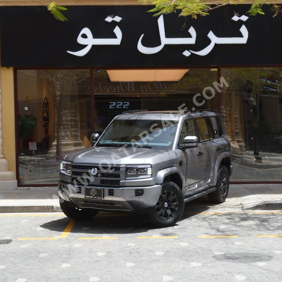 بي واي دي  دينزا  بي 5  2027  اوتوماتيك  0 كم  4 سلندر  دفع رباعي  اس يو في  رمادي  تحت الضمان