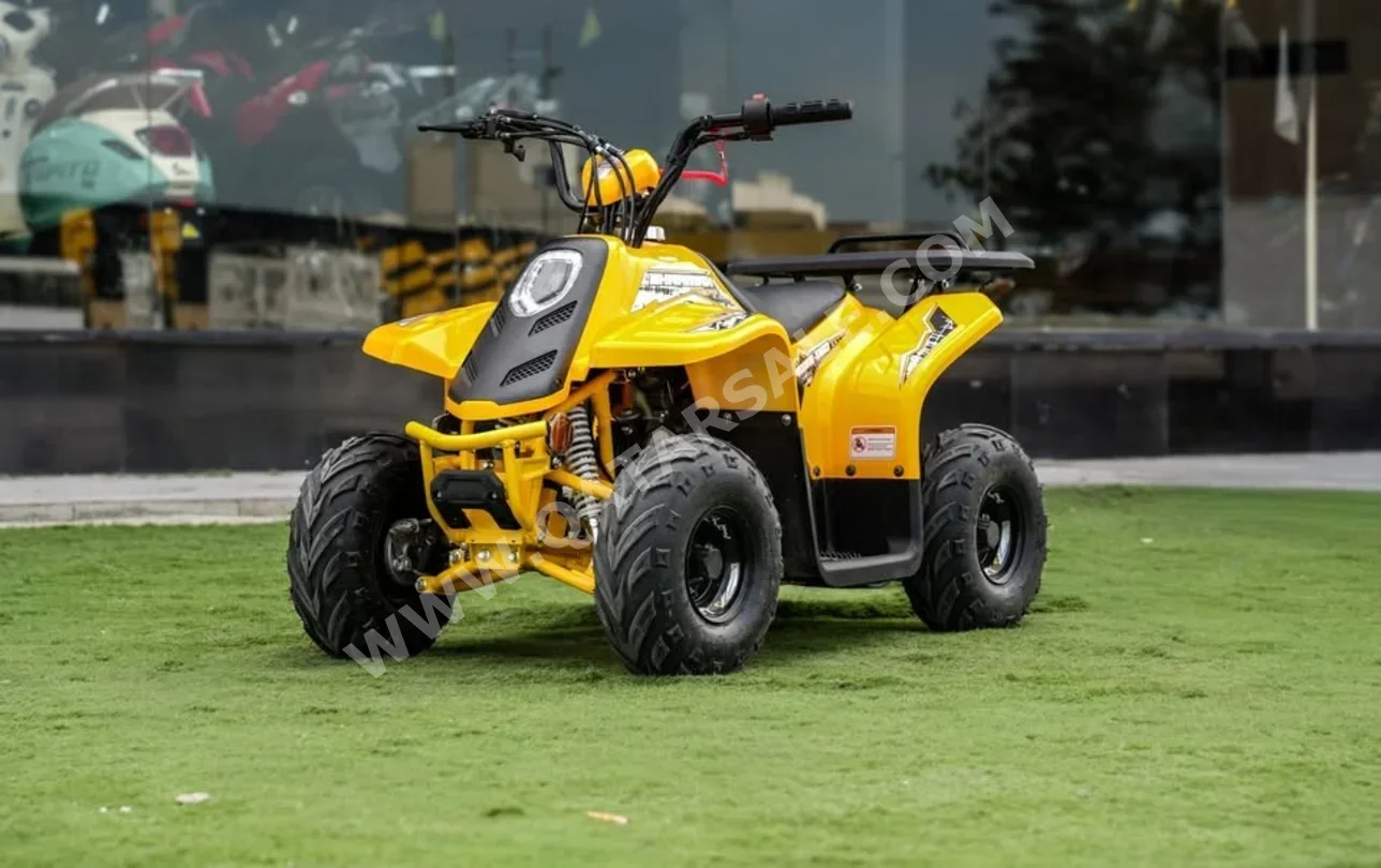 2025 - Color Yellow -  Warranty