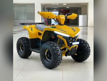 2025 - Color Yellow -  Warranty