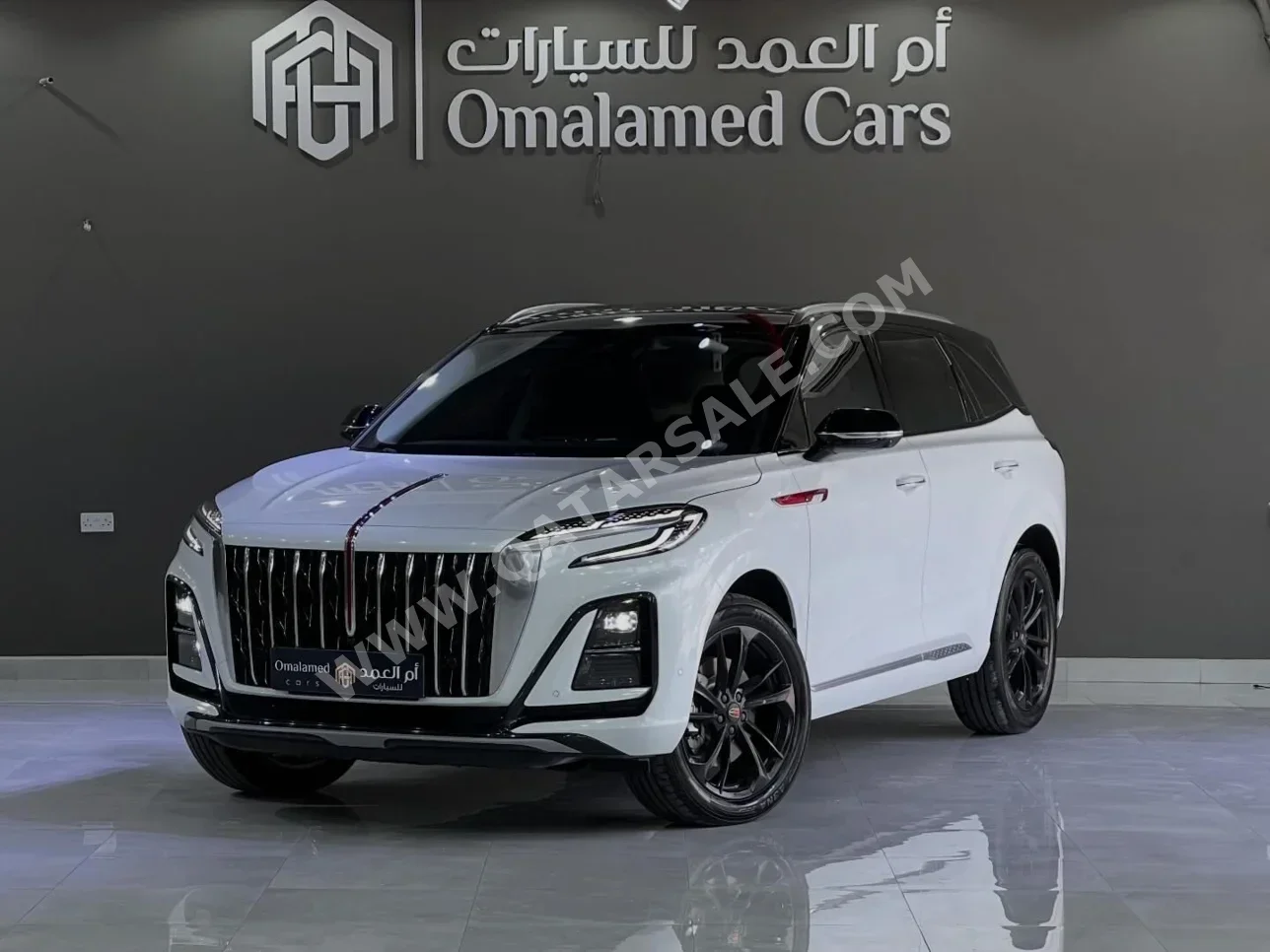 هونغ تشي  اتش اس 3  45 تي دي  2025  اوتوماتيك  12,000 كم  4 سلندر  دفع كلي مستمر  اس يو في  أبيض  تحت الضمان