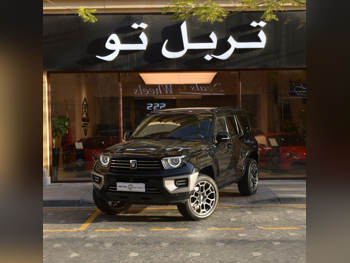 جي دبليو ام  تانك  700  2025  اوتوماتيك  28,500 كم  6 سلندر  دفع رباعي  اس يو في  أسود