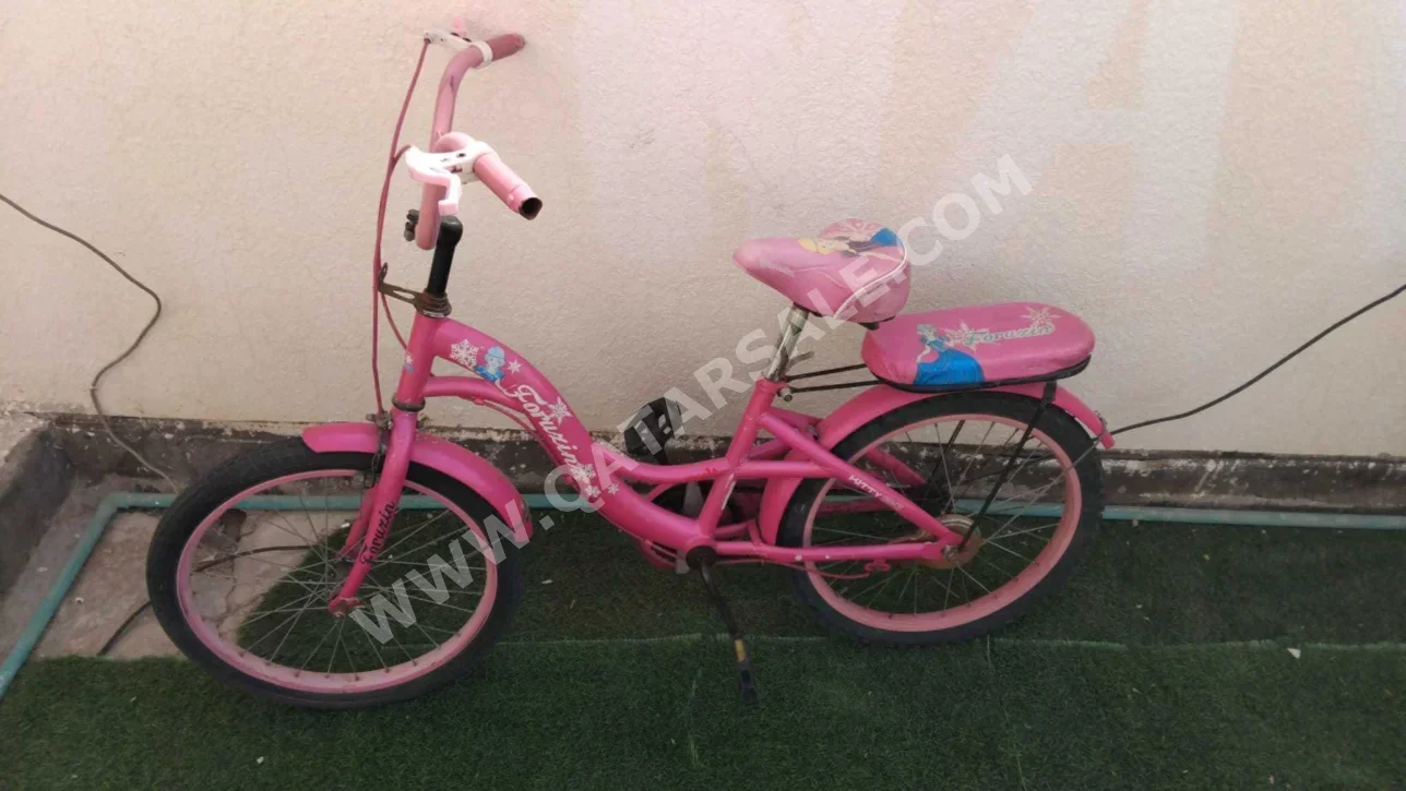 Road Bicycle - Apache - Large (19-20 inch)