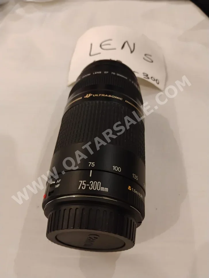Lenses - Canon EF 28-135mm f/3.5-5.6 IS - Telephoto