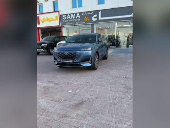 تشانجان  يوني - كي  2023  اوتوماتيك  266,000 كم  4 سلندر  دفع رباعي  اس يو في  ازرق