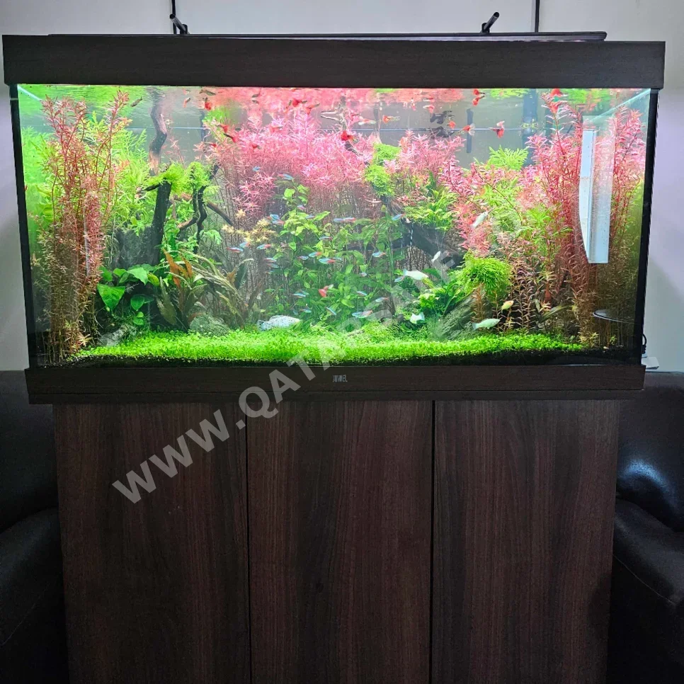 Aquariums - Brown With Motor 120 CM 50 CM With Cabinet 80 CM