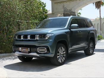 Baic BJ60 2024 Automatic 75,000 Km 4 Cylinder Four Wheel Drive (4WD) SUV Gray With Warranty