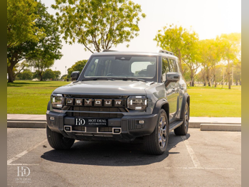 Jetour  T2  Luxury  2025  Automatic  42,000 Km  4 Cylinder  All Wheel Drive (AWD)  SUV  Gray  With Warranty