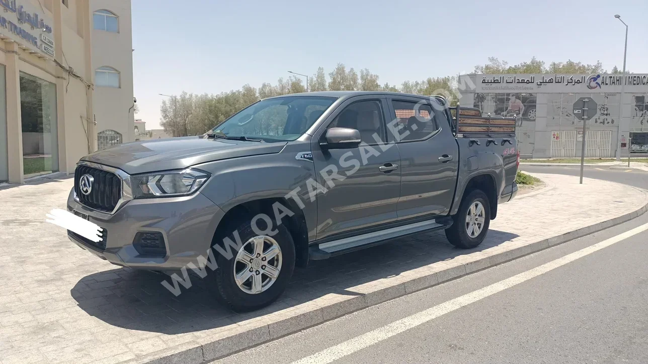 Maxus T60 2020 Manual 115,000 Km 4 Cylinder Rear Wheel Drive (RWD) Pick Up Gray