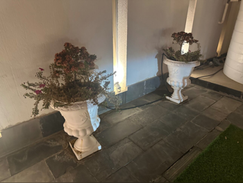 حدائق وزراعة